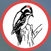 DuPage Birding Club