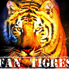 Fan Tigres
