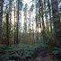 vo_5Q4WR_oM-channel-avatar-Out of the House