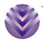 VeinSolutions of Richmond logo
