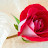 @anilkumarpandey9288 Avatar