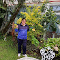 dilmanarvaez4474