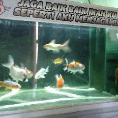 erfan sandy