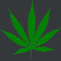 Cannabis und mehr logo
