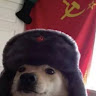 Автор