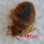 Houston Bed Bug Experts logo