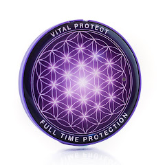 AimGroup Romania net worth