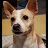 @jimmy2toes436 Avatar