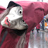 3r1CVTEIHBs-channel-avatar-NV Haidrio