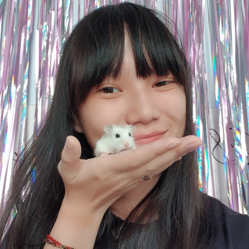 JiJu Hamster Island
