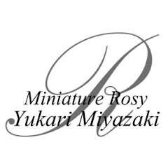 Miniature Rosy Yukari Myazaki
