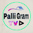 Palli Gram TV