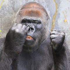 鬼。chアイコン画像