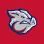 Lehigh Valley IronPigs logo