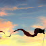 _6o0hW_FEEQ-channel-avatar-Jonas T