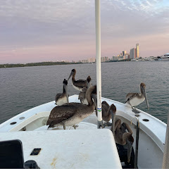 Fishman Joe net worth