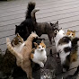 Miniature