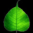 7isIiXMincg-channel-avatar-Vidarshana