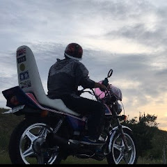 麗心愚唯威虎