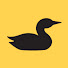 fRKCEB7YzJU-channel-avatar-Loon Outdoors