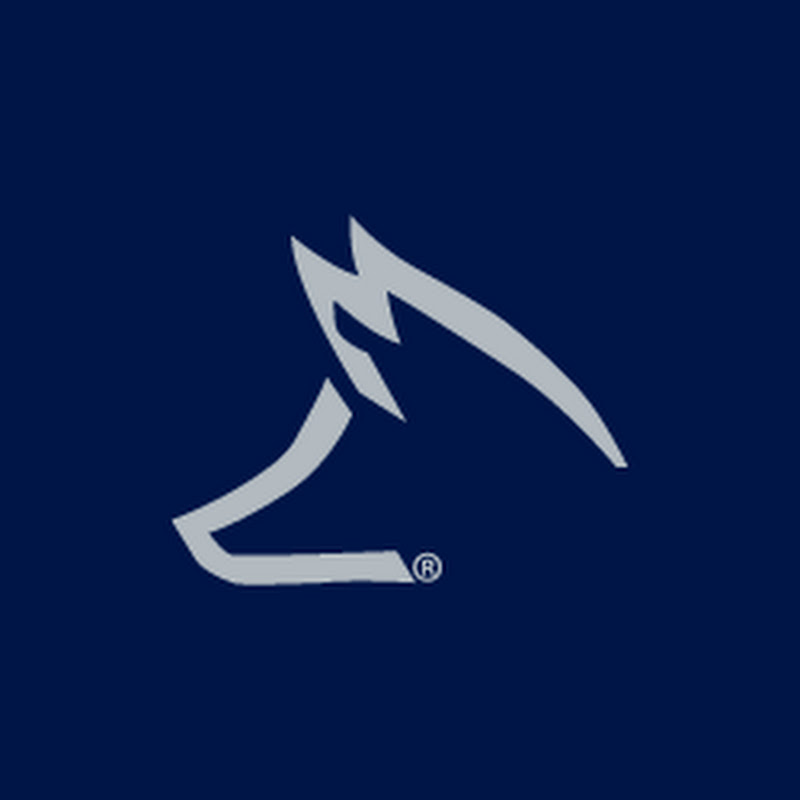 Fox Motors