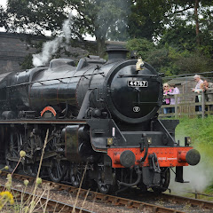 TrainHunters