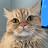 @user-cd6gw1su7v