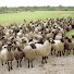 w5GO7-mJPDs-channel-avatar-ESTET flocken