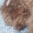 @piong0619
