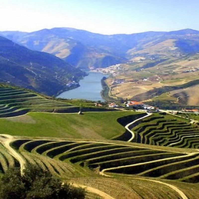 Portugal Large Estates & Farmlands