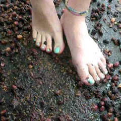 TaysSweetFeet