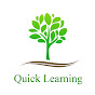 Quick Learning logo