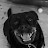 @BearOfMantra's avatar