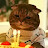 @joon33cat