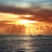 @ib8883 Avatar