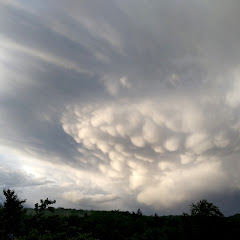 Wienerwaldwetter