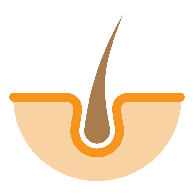 皮毛小知識 Logo