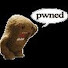 S1ocPcVWpAM-channel-avatar-Sn00ten