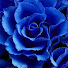 _wS00aN-yXY-channel-avatar-Elatrednu Plays