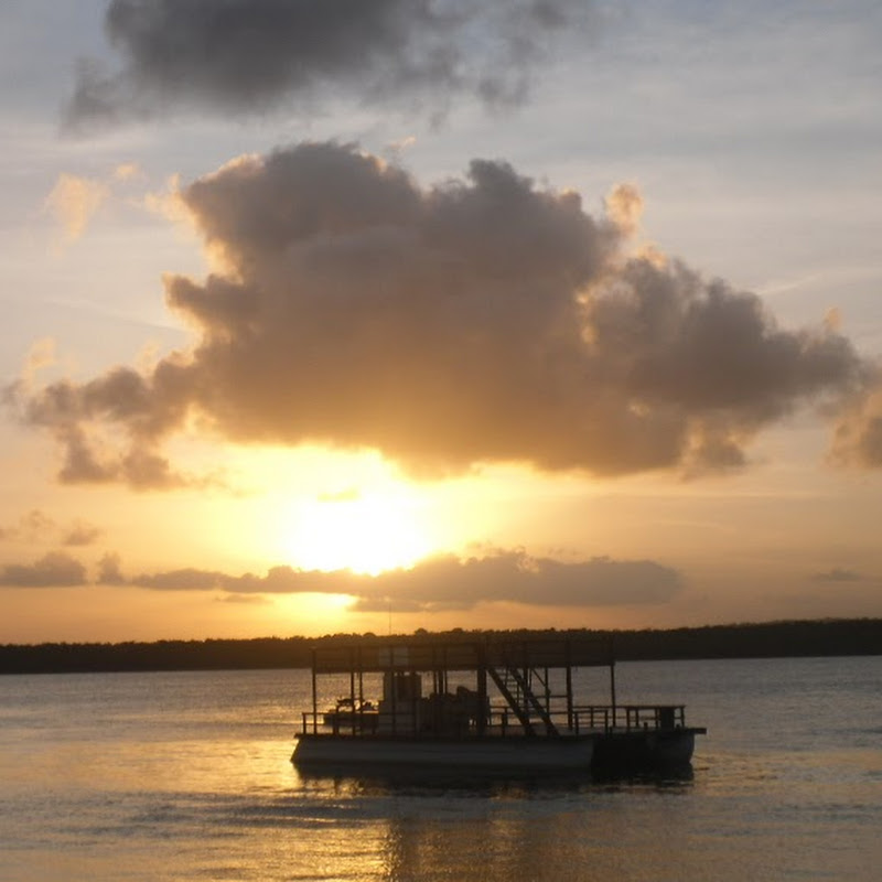 Néstor Darío Duque M Logo