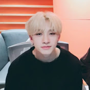 Hwangskiix
