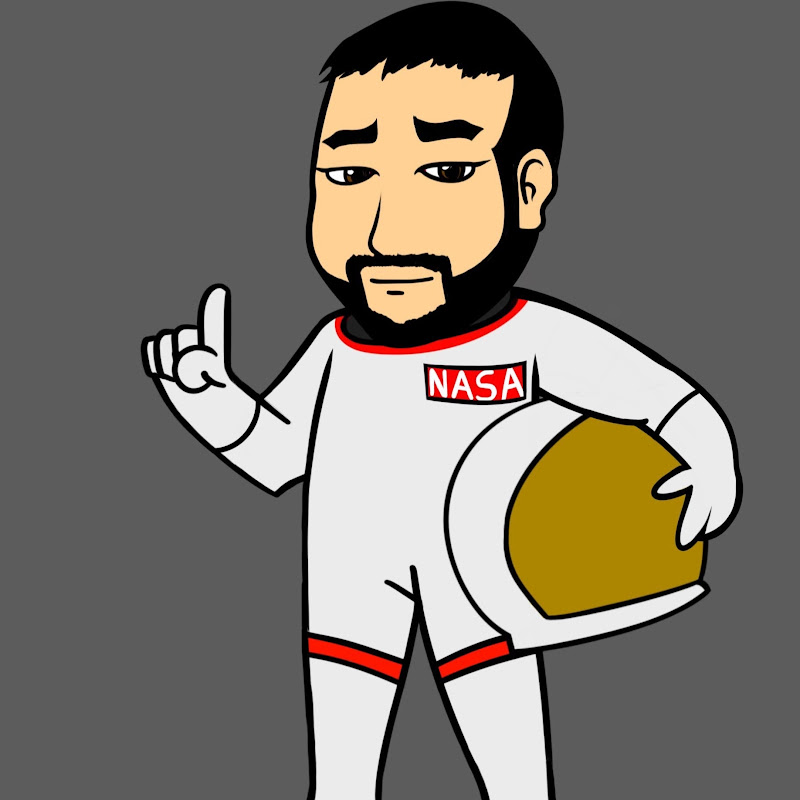 The Nasa Report