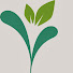 eS3y5KIh7wE-channel-avatar-vitevtv