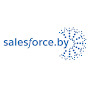 Salesforce Belarus logo