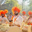 @anandghadsing9756 Avatar