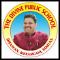 THE DIVINE PUBLIC SCHOOL logo