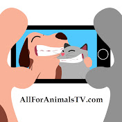 allforanimalstv