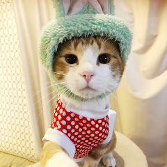 ポポリンチャンネル