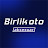 Birlik Oto Aksesuar