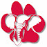 N7C1jaOY5co-channel-avatar-PAWSWEB